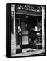 Cats Perching Outside Entrance to Perfume Shop-Alfred Eisenstaedt-Framed Stretched Canvas