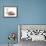 Cats, Persian and Sphynx in Studio-null-Framed Photographic Print displayed on a wall