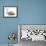 Cats, Persian and Sphynx in Studio-null-Framed Photographic Print displayed on a wall