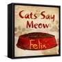 Cats Say Meow-null-Framed Stretched Canvas