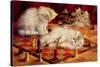 Cats with a Chess Board-Agnes Augusta Talboys-Stretched Canvas