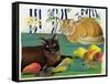 Cats with Fruit-Anne Robinson-Framed Stretched Canvas