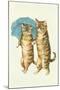 Cats with Umbrella-null-Mounted Art Print