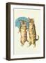 Cats with Umbrella-null-Framed Art Print