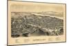 Catskill 1889 Bird's Eye View, New York, United States, 1889-null-Mounted Giclee Print
