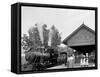 Catskill Mountain Railway Station, Haines Corners, Catskill Mountains, N.Y.-null-Framed Stretched Canvas