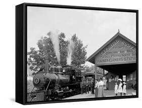 Catskill Mountain Railway Station, Haines Corners, Catskill Mountains, N.Y.-null-Framed Stretched Canvas