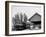 Catskill Mountain Railway Station, Haines Corners, Catskill Mountains, N.Y.-null-Framed Photo