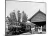 Catskill Mountain Railway Station, Haines Corners, Catskill Mountains, N.Y.-null-Mounted Photo