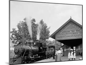 Catskill Mountain Railway Station, Haines Corners, Catskill Mountains, N.Y.-null-Mounted Photo