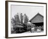 Catskill Mountain Railway Station, Haines Corners, Catskill Mountains, N.Y.-null-Framed Photo