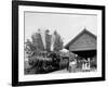 Catskill Mountain Railway Station, Haines Corners, Catskill Mountains, N.Y.-null-Framed Photo