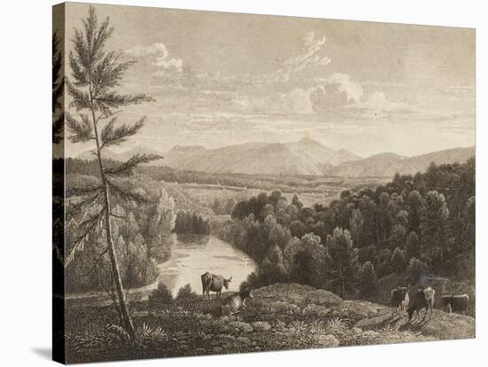 Catskill Mountains-Asher Brown Durand-Stretched Canvas