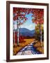 Catskill Path-Patty Baker-Framed Art Print