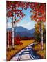 Catskill Path-Patty Baker-Mounted Art Print