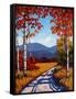 Catskill Path-Patty Baker-Framed Stretched Canvas