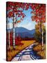 Catskill Path-Patty Baker-Stretched Canvas