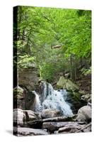 Catskills Hidden Falls Photo Print Poster-null-Stretched Canvas
