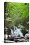 Catskills Hidden Falls Photo Print Poster-null-Stretched Canvas