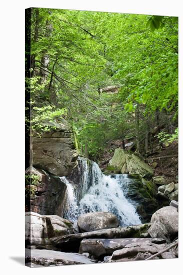 Catskills Hidden Falls Photo Print Poster-null-Stretched Canvas