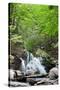 Catskills Hidden Falls Photo Print Poster-null-Stretched Canvas