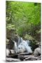 Catskills Hidden Falls Photo Print Poster-null-Mounted Poster