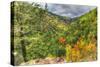 Catskills Hollow-Robert Goldwitz-Stretched Canvas