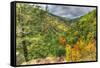 Catskills Hollow-Robert Goldwitz-Framed Stretched Canvas