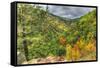 Catskills Hollow-Robert Goldwitz-Framed Stretched Canvas