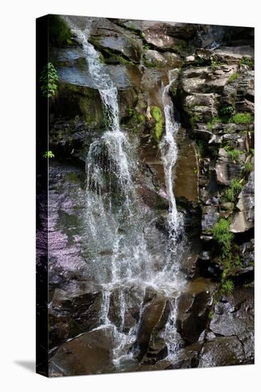 Catskills New York Steady Waterfall Photo Print Poster-null-Stretched Canvas