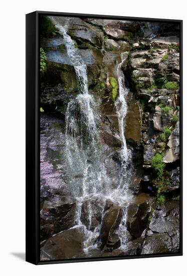Catskills New York Steady Waterfall Photo Print Poster-null-Framed Stretched Canvas