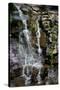 Catskills New York Steady Waterfall Photo Print Poster-null-Stretched Canvas