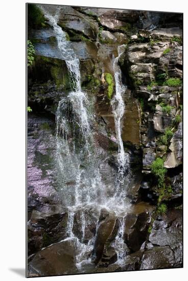 Catskills New York Steady Waterfall Photo Print Poster-null-Mounted Poster