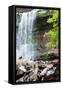 Catskills NY Waterfall Photo Print Poster-null-Framed Stretched Canvas
