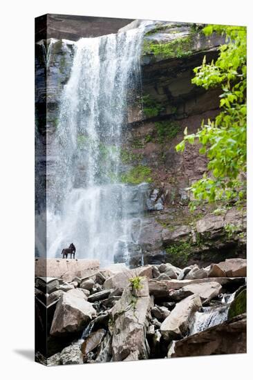 Catskills NY Waterfall Photo Print Poster-null-Stretched Canvas