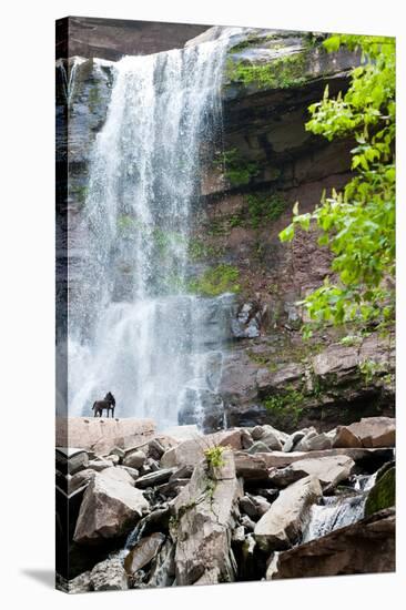 Catskills NY Waterfall Photo Print Poster-null-Stretched Canvas