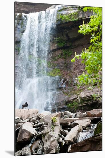 Catskills NY Waterfall Photo Print Poster-null-Mounted Poster