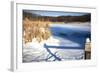 Cattails And Post  In Snow Along Pond-Anthony Paladino-Framed Giclee Print