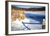 Cattails And Post  In Snow Along Pond-Anthony Paladino-Framed Giclee Print