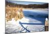 Cattails And Post  In Snow Along Pond-Anthony Paladino-Mounted Giclee Print