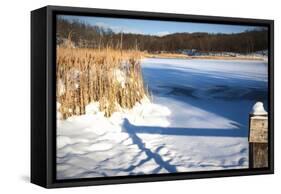 Cattails And Post  In Snow Along Pond-Anthony Paladino-Framed Stretched Canvas