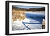 Cattails And Post  In Snow Along Pond-Anthony Paladino-Framed Giclee Print