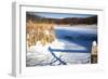 Cattails And Post  In Snow Along Pond-Anthony Paladino-Framed Giclee Print