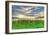 Cattails and Sky-Robert Goldwitz-Framed Photographic Print