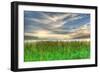 Cattails and Sky-Robert Goldwitz-Framed Photographic Print