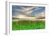 Cattails and Sky-Robert Goldwitz-Framed Photographic Print