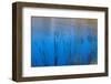Cattails at edge of lake-Anna Miller-Framed Photographic Print
