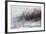 Cattails In Snow-Anthony Paladino-Framed Giclee Print