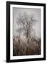 Cattails Teasel and Tree-David Lorenz Winston-Framed Art Print