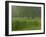 Cattails With Trees, Union Mills, Westminster, Maryland, USA-Corey Hilz-Framed Photographic Print